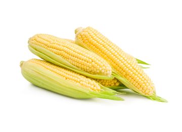 Насіння цукрової кукурудзи