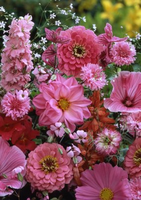 Квіткова суміш Рожевий світанок 107898fasovka-0 фото