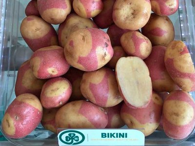 Картопля Бікіні (Фасовка: 5 кг) 104926 фото