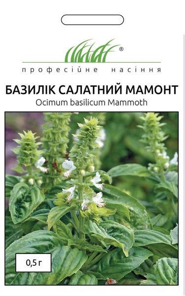 Базилик салатный Мамонт (Фасовка: 0,5 г) 104683 фото