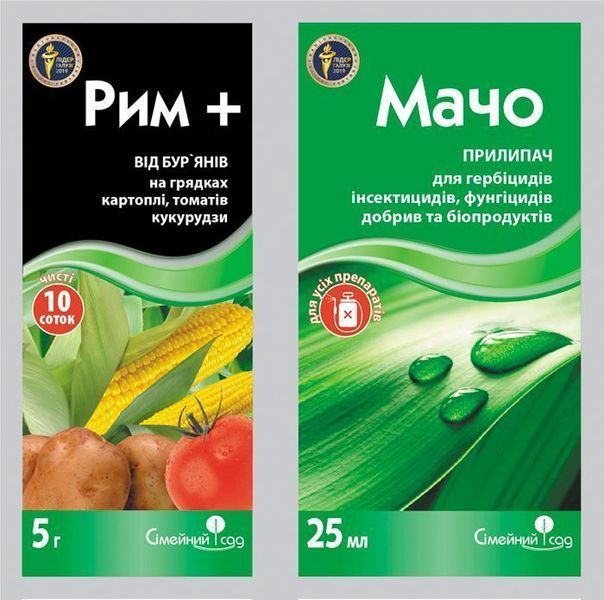 Рим + Мачо 109246 фото