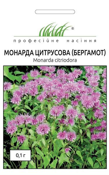 Монарда (Бергамот) (Фасовка: 0,1 г) 104711 фото