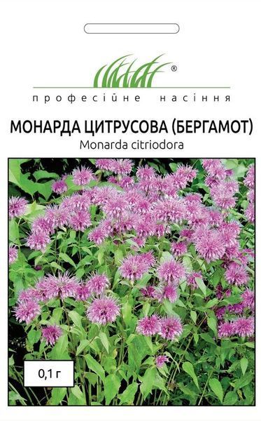 Монарда (Бергамот) (Фасовка: 0,1 г) 104711 фото
