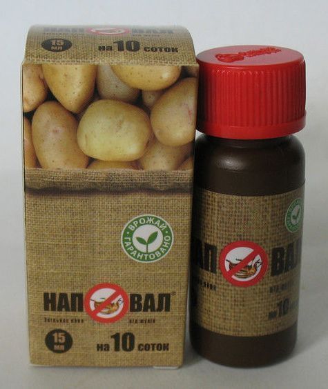 Наповал 101072 фото