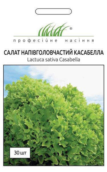 Салат Касабелла 105672 фото