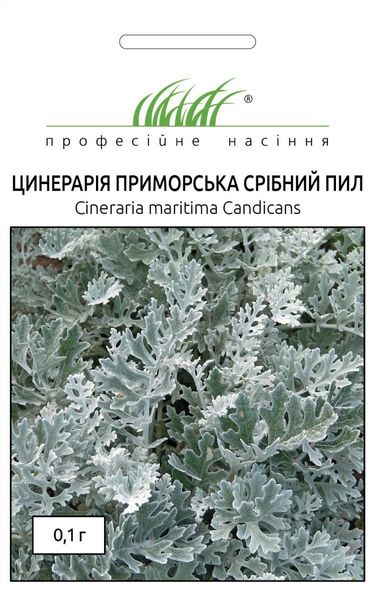 Цинерария Серебряная пыль (Фасовка: 0,1 г; Цвет: серебряный) 103985fasovka-0_color-293 фото