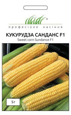 Кукуруза Санданс F1 (Фасовка: 50 г) 104972fasovkaOvoshi-0 фото