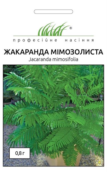 Жакаранда Мимозолистная (Фасовка: 0,8 г; Цвет: зеленый) 103934fasovka-0_color-20 фото