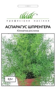 Аспарагус Шпренгера (Фасовка: 0,5 г; Колір: білий) 101703fasovka-0_color-17 фото