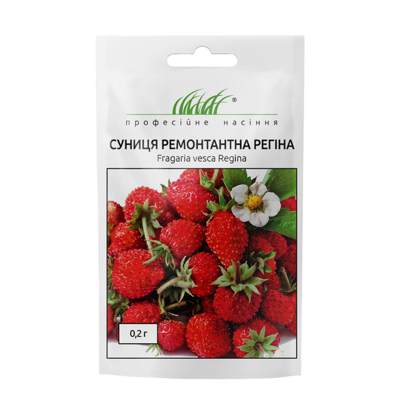 Суниця ремонтантна Регіна 103504 фото