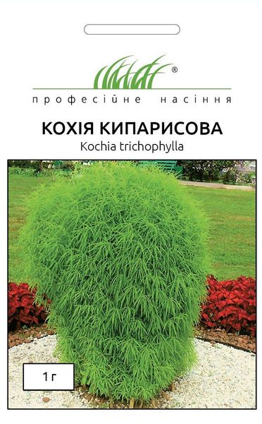 Кохия Кипарисовая (Фасовка: 1 г; Цвет: зеленый) 103771fasovka-0_color-20 фото