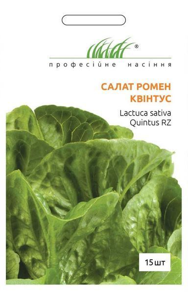 Салат Квинтус 104628 фото