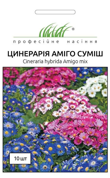 Перикаллис Амиго (Фасовка: 10 шт; Цвет: смесь) 102802fasovka-0_color-29 фото