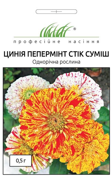 Цинния (Майоры) Пеперминт стик (Фасовка: 0,5 г; Цвет: смесь) 102573fasovka-0_color-29 фото