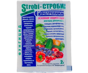 Стробі 104062 фото