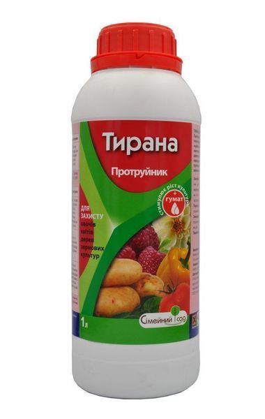Тирана 109271 фото