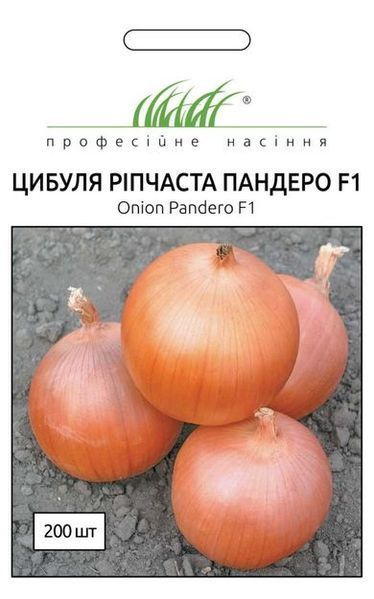 Лук Пандеро F1 (Фасовка: 100 000 шт) 105286 фото