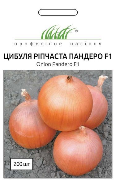 Лук Пандеро F1 (Фасовка: 100 000 шт) 105286 фото
