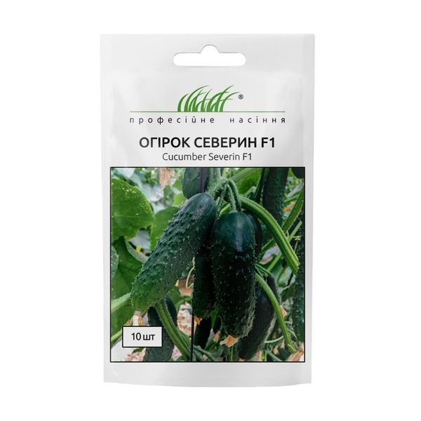 Насіння огірка Северин F1 107079 фото