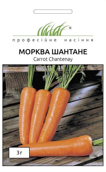 Морква Шантане (Фасовка: 500 г) 105300 фото