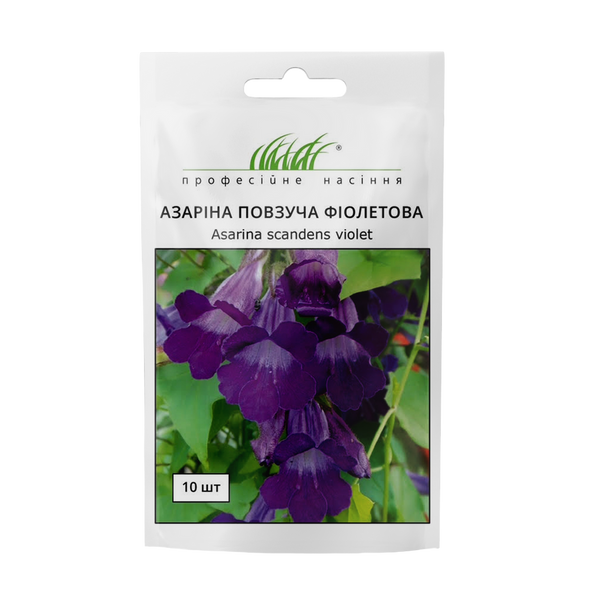 Азарина ползучая 109902 фото