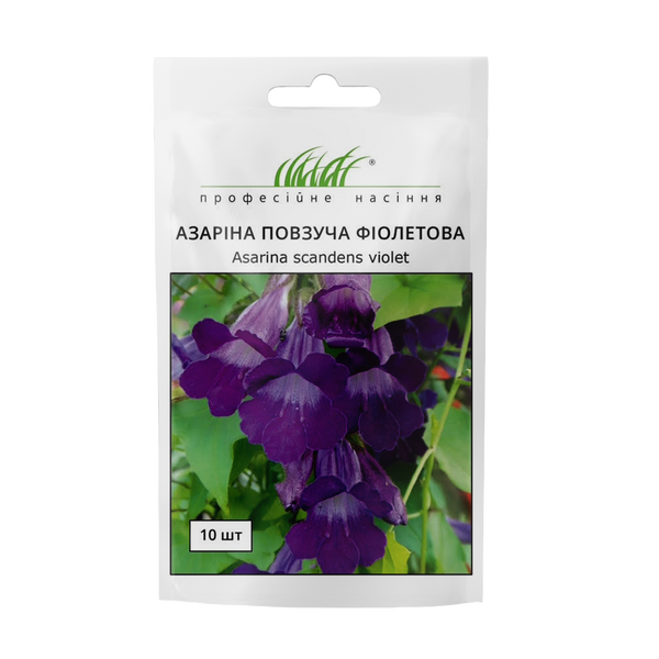 Азарина ползучая 109902 фото