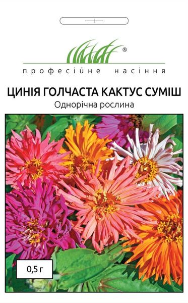 Цинния (Майоры) Кактус (Фасовка: 0,5 г; Цвет: смесь) 102579fasovka-0_color-29 фото