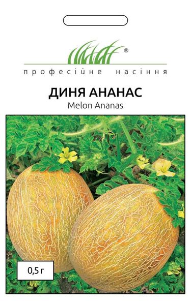 Дыня Ананас 104704fasovkaOvoshi-0 фото