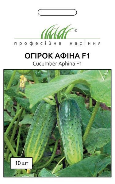 Насіння огірка Афіна F1 104519 фото