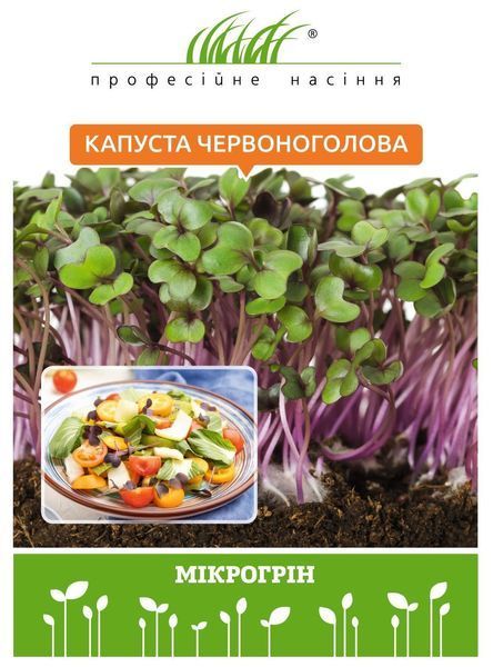 Микрозелень капусты красноголовой 109083 фото
