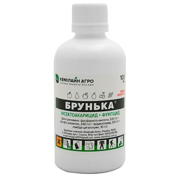 Брунька 109312 фото