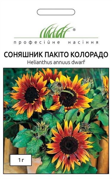 Подсолнух Пакито Колорадо 102980fasovka-0_color-288 фото