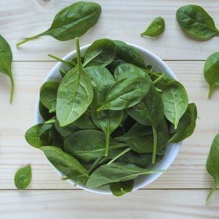 Шпинат Рембрандт F1 110034 фото