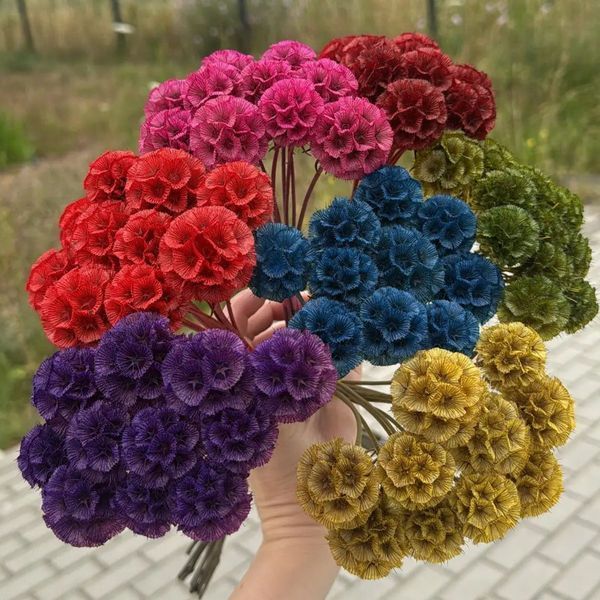 Скабіоза зірчаста 109978 фото