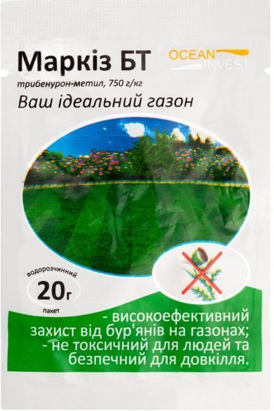Маркиз БТ 101090 фото