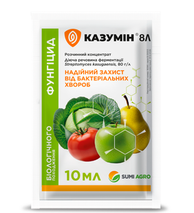 Казумін 110418 фото