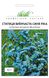 Статица Синя ріка (Фасовка: 10 г; Колір: синій) 103294fasovka-0_color-30 фото 4